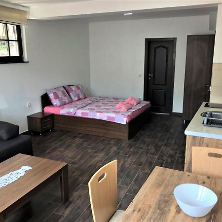 Villa Helena Ohrid Bagian luar foto
